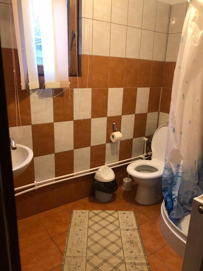 הוילה Barbuletu Casa Radu Lui Anghel מראה חיצוני תמונה