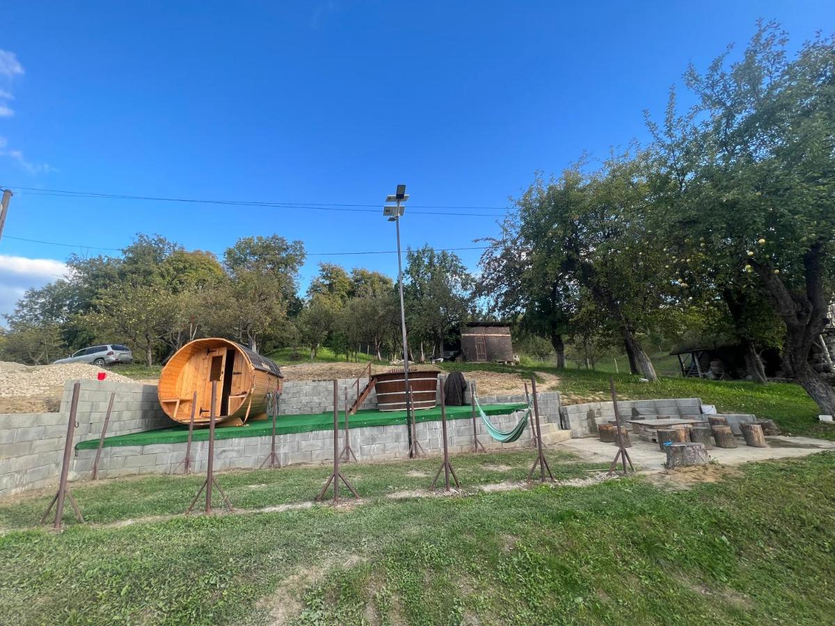 הוילה Barbuletu Casa Radu Lui Anghel מראה חיצוני תמונה