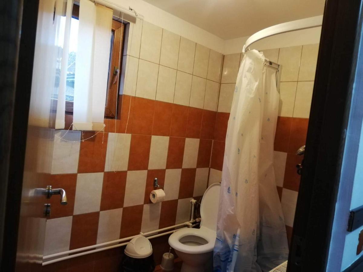 הוילה Barbuletu Casa Radu Lui Anghel מראה חיצוני תמונה