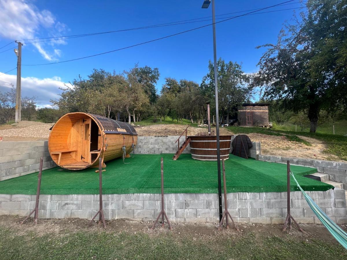 הוילה Barbuletu Casa Radu Lui Anghel מראה חיצוני תמונה